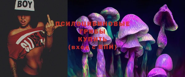 МДПВ Няндома