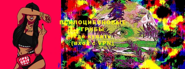 МДПВ Няндома