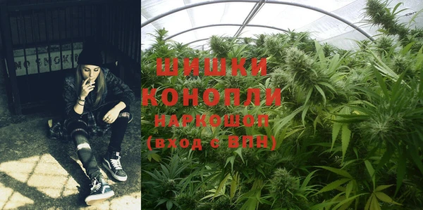 стаф Нягань