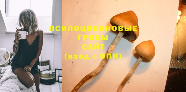 спиды Невьянск