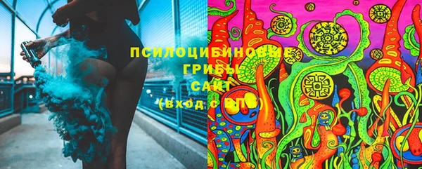 spice Горняк